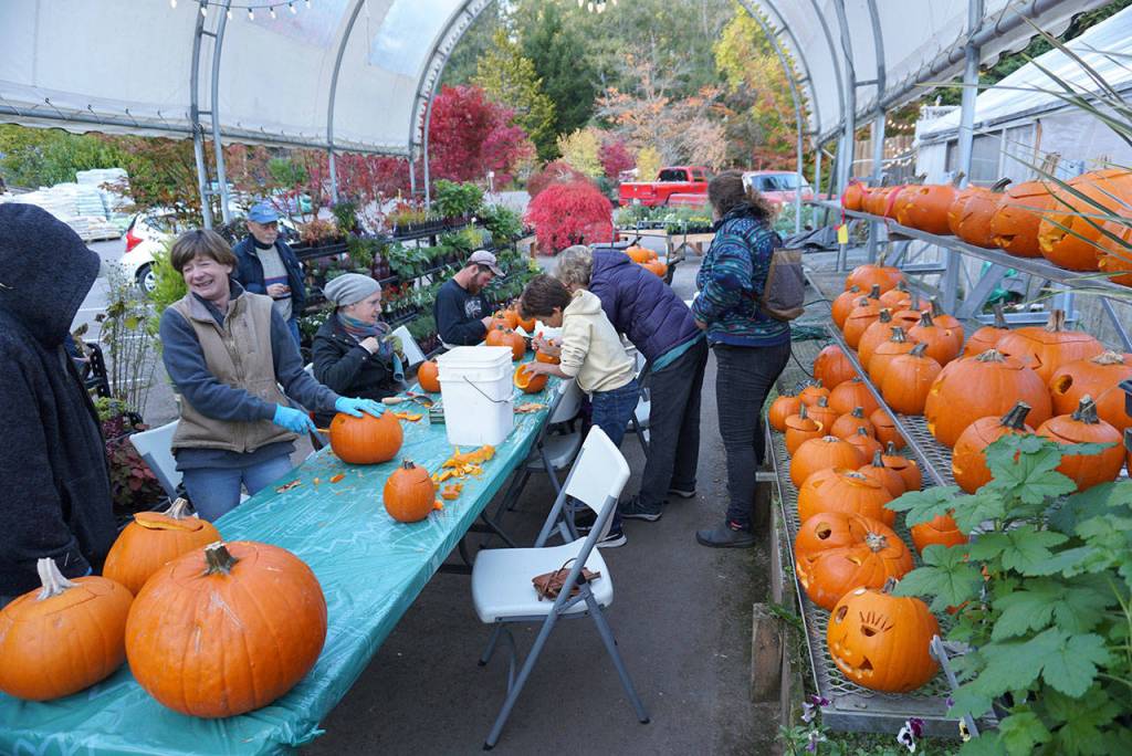 Prepping the pumpkins at Bainbridge Gardens | Photo gallery