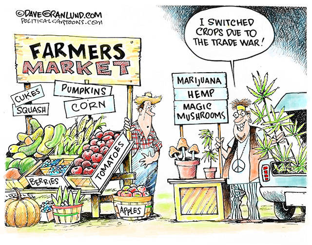 Trump’s 140th week in office | In cartoons