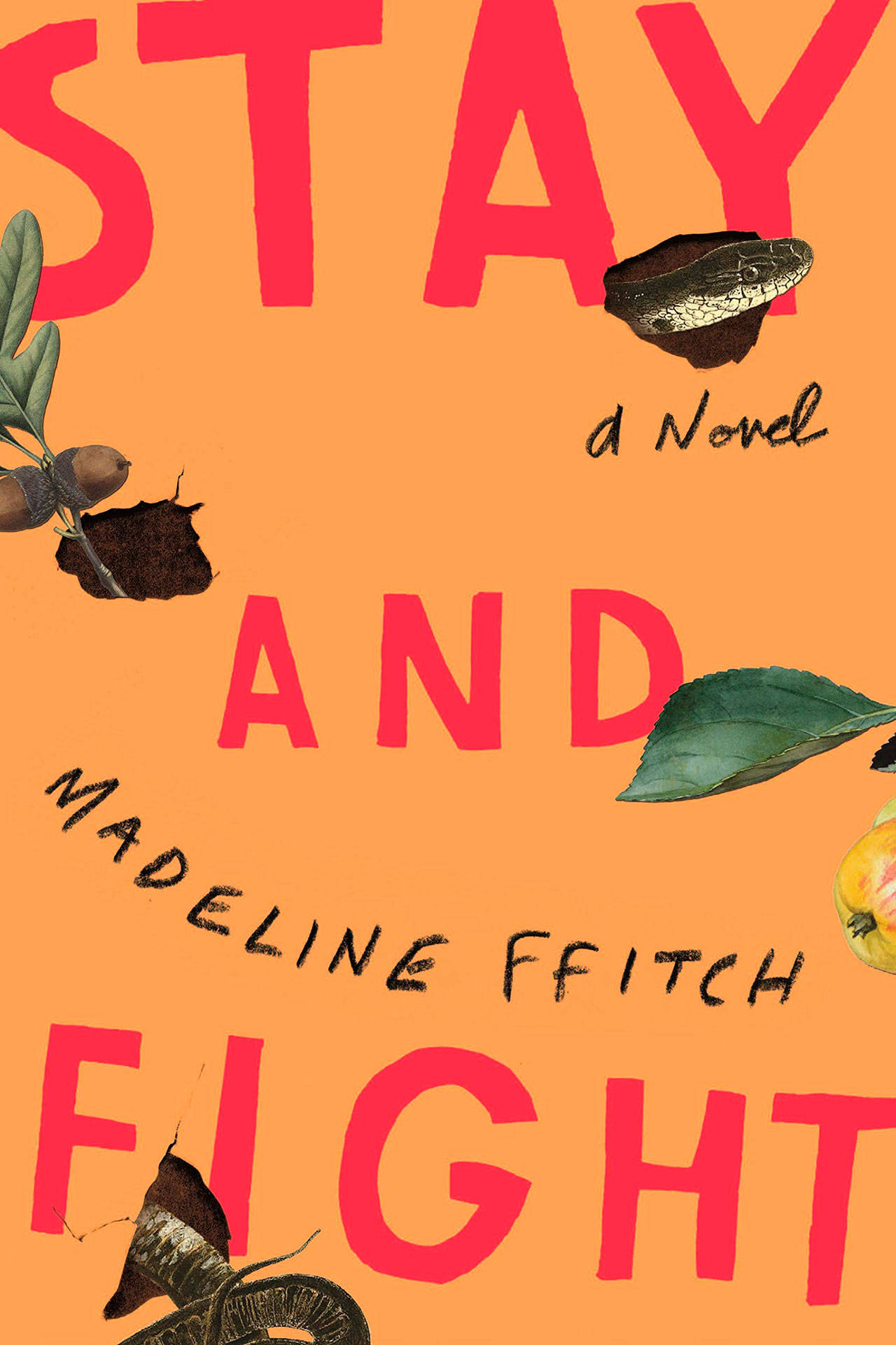 Image courtesy of Eagle Harbor Book Company | Madeline ffitch will visit Eagle Harbor Book Company at 3 p.m. Sunday, Oct. 27 to discuss her debut novel Stay and Fight.