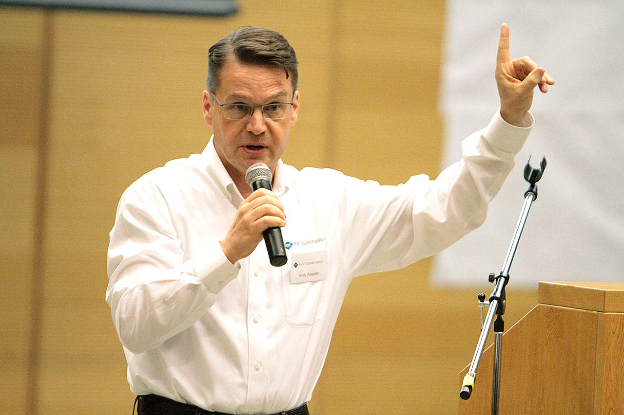 PSE outlines plan to reduce power outages on island