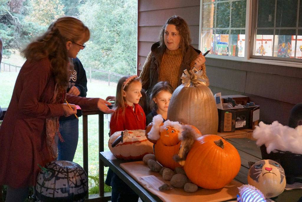 Carden Country School Pumpkin Parade boasts bevy of gorgeous gourds | Photo gallery