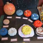 Carden Country School Pumpkin Parade boasts bevy of gorgeous gourds | Photo gallery