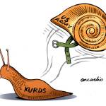 Trump’s 143rd week in office | In cartoons