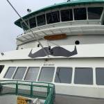The ferry M/V Tacoma sports its new look for Movember. (Photo courtesy of Washington State Ferries)
