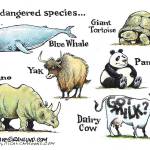 Today’s cartoon for Saturday, Nov. 23