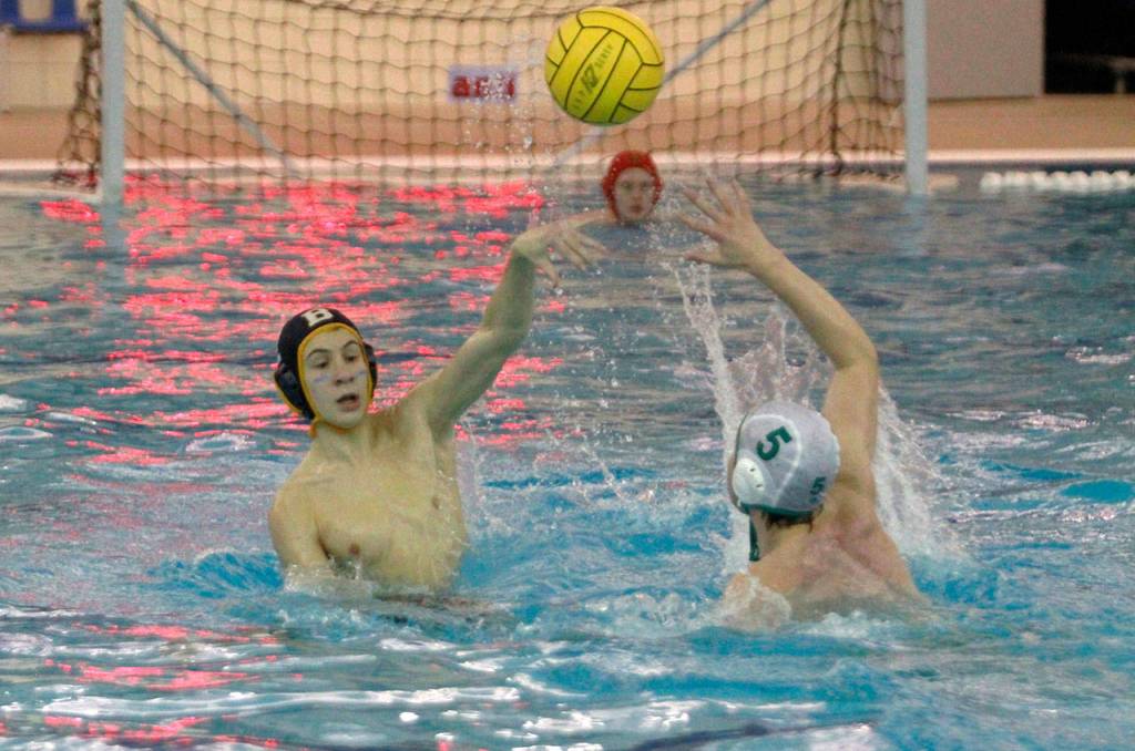 Spartans shine in third place state water polo finish | Photo gallery