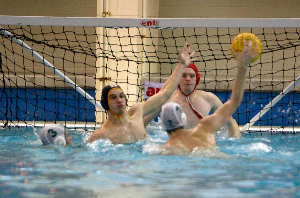 Spartans shine in third place state water polo finish | Photo gallery