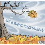 Trump’s 146th week in office | In cartoons