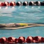 Spartan girls swimming & diving team at State | Photo gallery