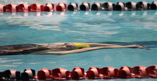 Spartan girls swimming & diving team at State | Photo gallery