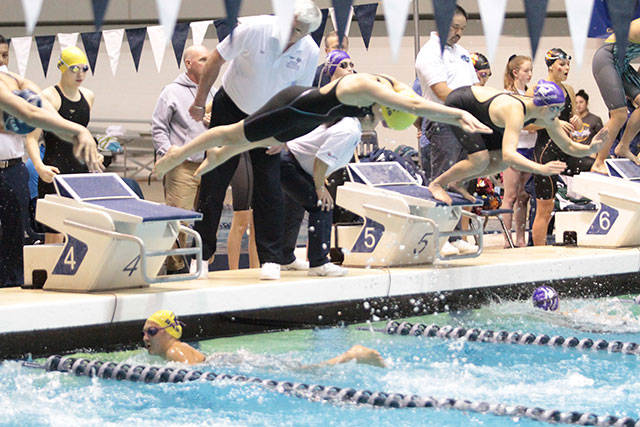 Spartan girls swimming & diving team at State, Part II | Photo gallery
