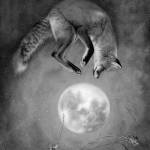 BI Winter Studio Tour features slew of new artists, reliable faves alike