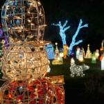 Luciano Marano | Bainbridge Island Review - More than 100 figurines and roughly 40,000 total lights adorn the yard outside Wiley Jones Irwins home.