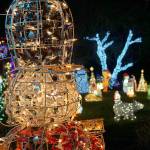 Let there be (a lot of) lights: Island man’s house is bedecked in holiday trimmings for a good cause