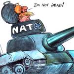 Trump’s 149th week in office | In cartoons