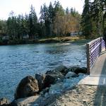 A visitor to Blakely Harbor Park walks across the new jetty bridge. (Brian Kelly | Bainbridge Island Review)