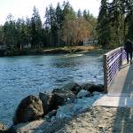 New span completes missing link for Bainbridge trails