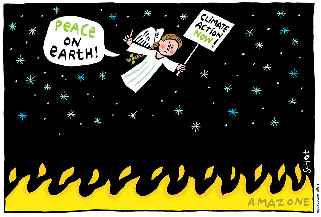 Today’s cartoon for Sunday, Dec. 29