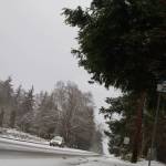 Snowy streets kept many drivers off the road this week on Bainbridge. (Luciano Marano | Bainbridge Island Review)