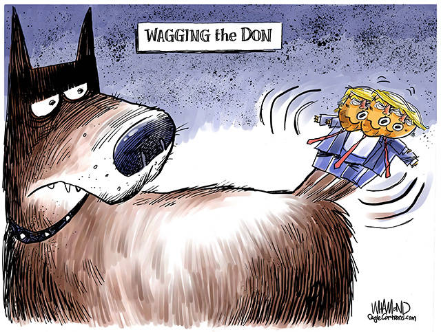 Trump’s 154th week in office | In cartoons