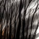 Today’s cartoon for Wednesday, Jan. 22