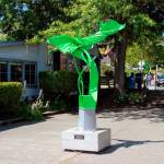 Image courtesy of Arts Humanities Bainbridge