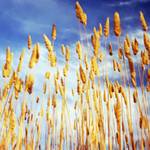 Landscape photography on display at Jeffrey Moose Gallery