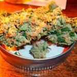 Lawmakers consider a grow-your-own recreational marijuana bill | 2020 Legislative Session