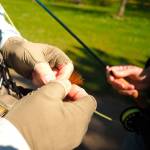 Expert shares ocean research at next meeting of Bainbridge Island Fly Fishers