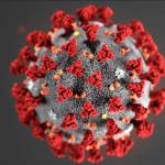 Coronavirus Q&A