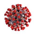 Bainbridge Island resident is first positive COVID-19 test reported for Kitsap County