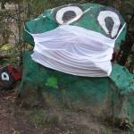 Frog Rock ready for COVID-19