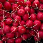 Fresh radishes at the Bainbridge Island Farmers Market. (Luciano Marano | Bainbridge Island Review file)