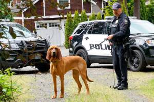 Former Bainbridge police chief: Officer Enget ‘Kurt was willing to do whatever was asked of him and more’