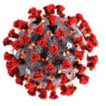 Positive COVID-19 cases fall off in Kitsap; other counties in Puget Sound region also see encouraging signs