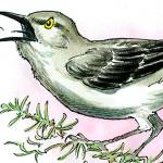 Today’s cartoon for Saturday, April 25