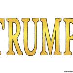 Trump’s 158th week in office | In cartoons