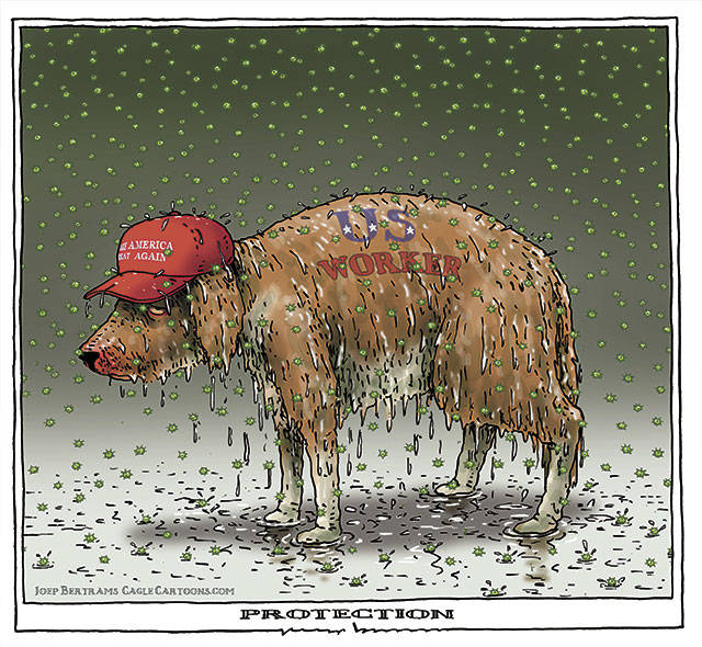 Trump’s 165th week in office | In cartoons