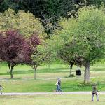 Phase 1: Bainbridge takes first steps on leaving home