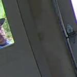 Burglary suspect caught in Suquamish