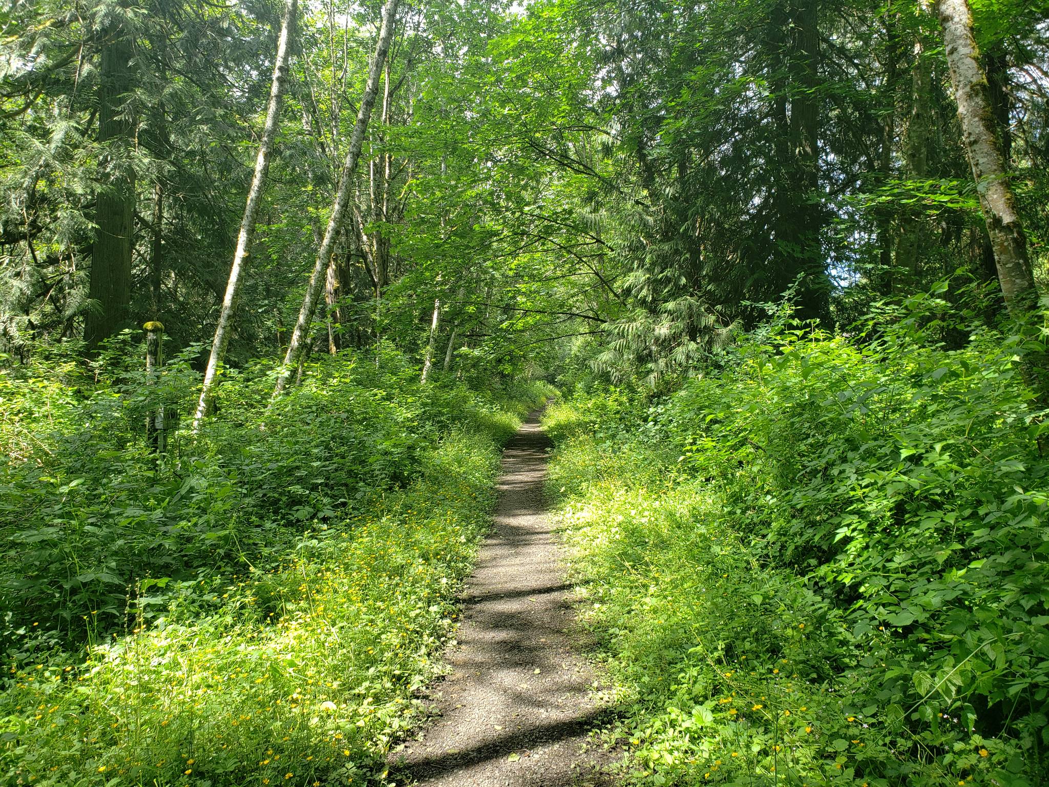 Attainable island hikes for an approaching summer