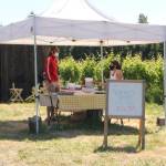 Farmers Market, local farms forge ahead during summer