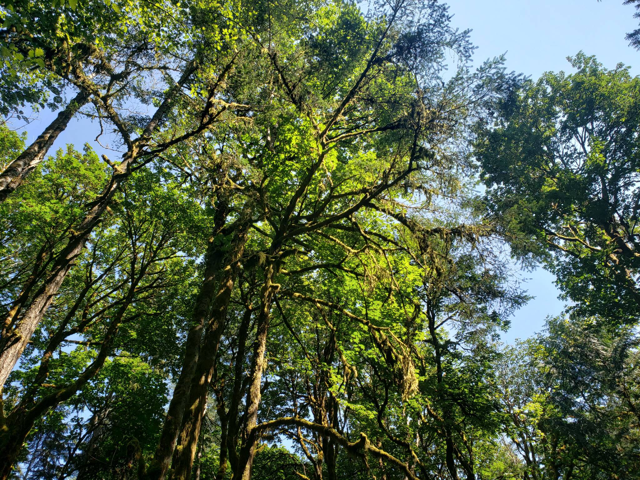 Ideal island trail systems for warmer summer weather