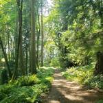 Ideal island trail systems for warmer summer weather