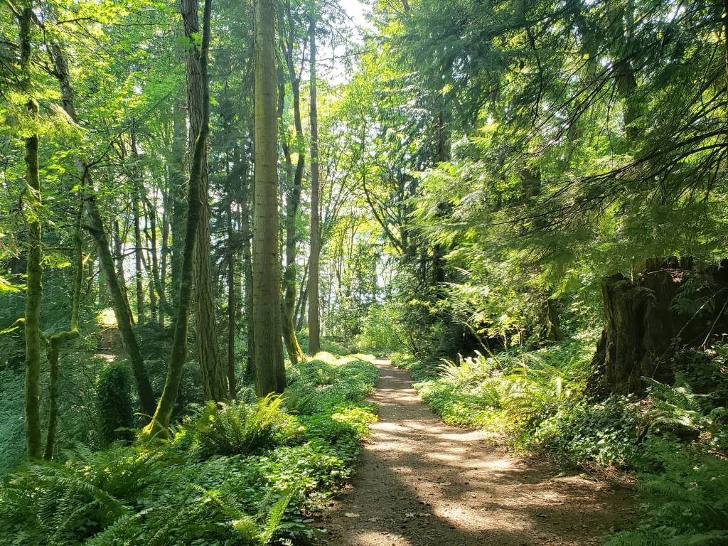 Ideal island trail systems for warmer summer weather