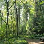 Ideal island trail systems for warmer summer weather