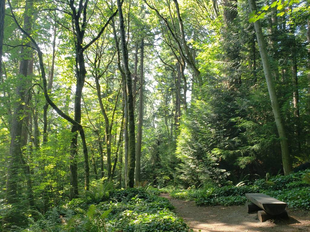 Ideal island trail systems for warmer summer weather