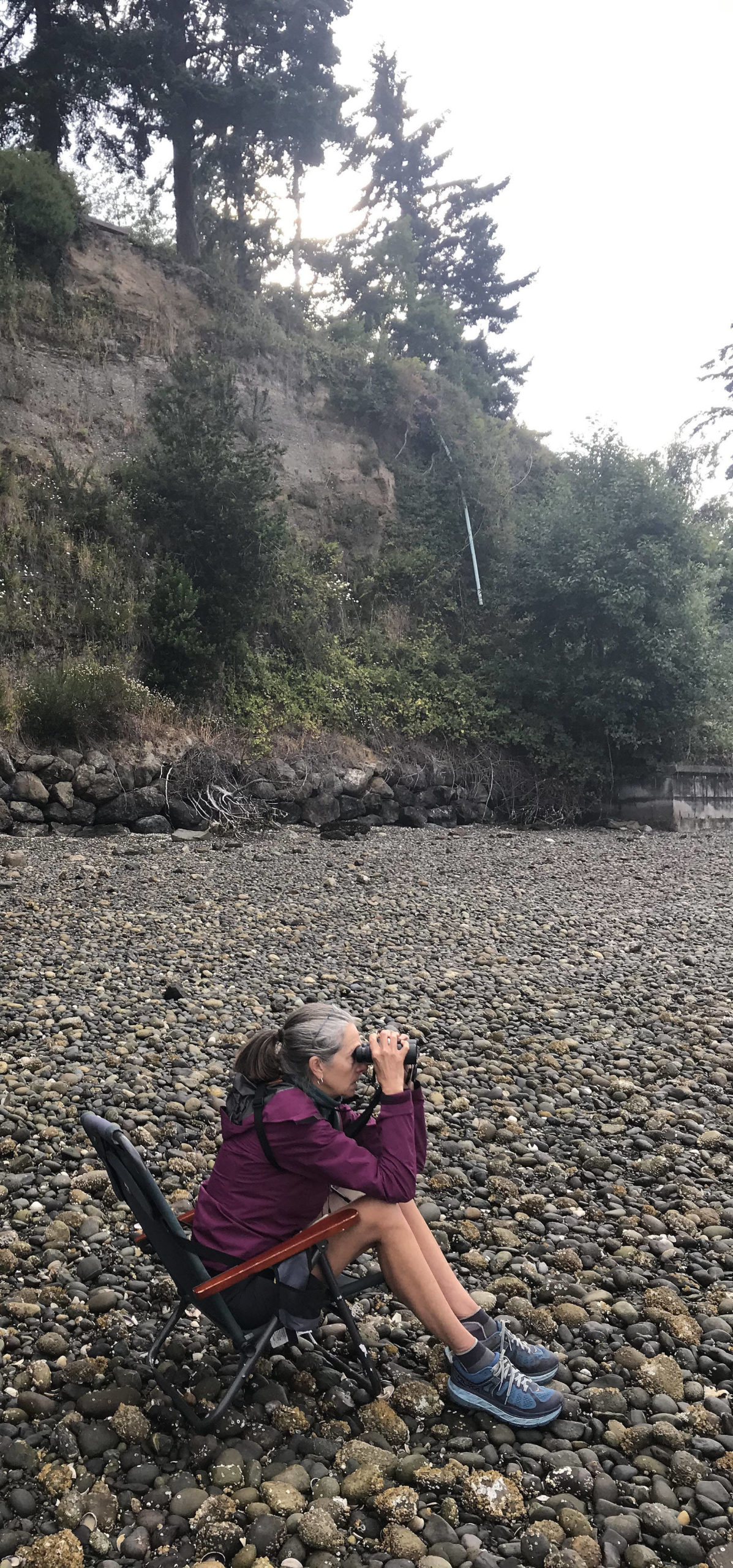 Bird study helps indicate health of Puget Sound