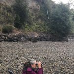 Bird study helps indicate health of Puget Sound