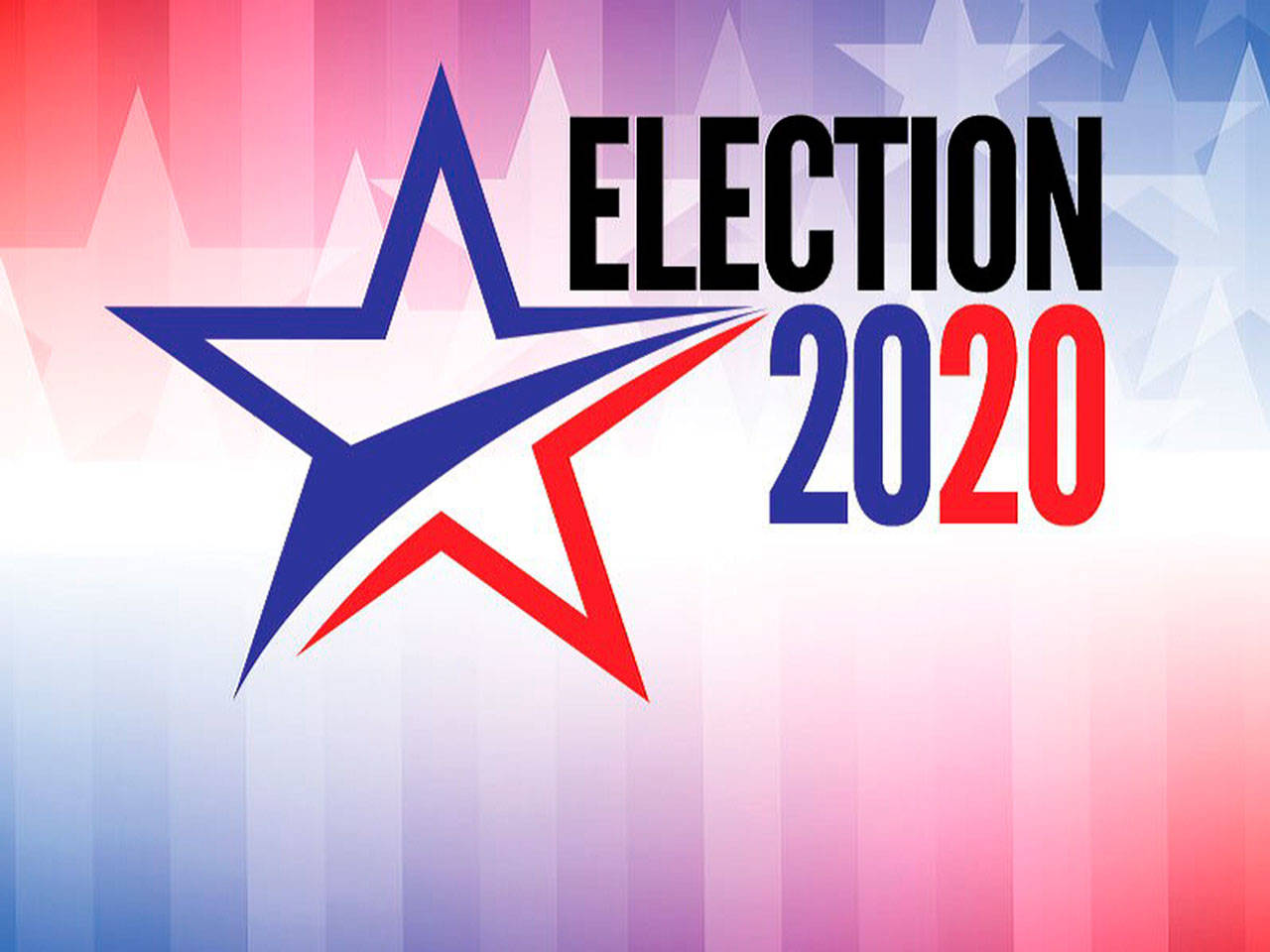 Primary Election 2020:
